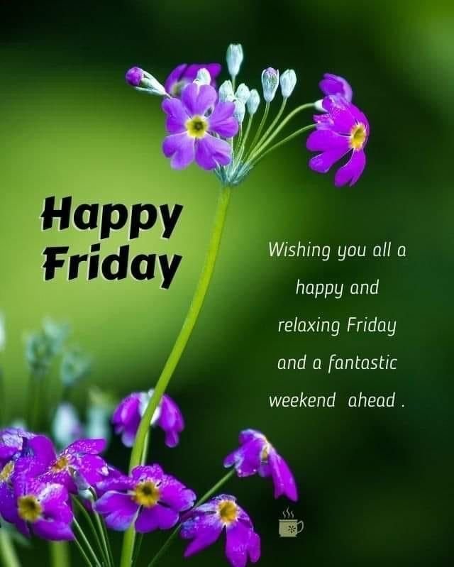 Beautiful Good Morning Friday Images