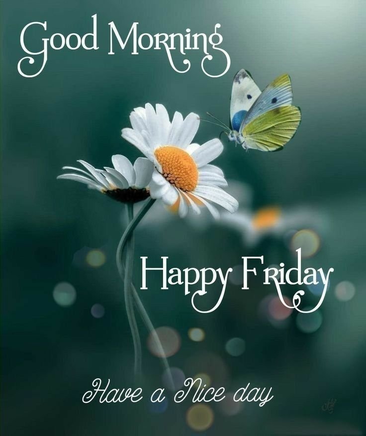 Beautiful Good Morning Friday Images