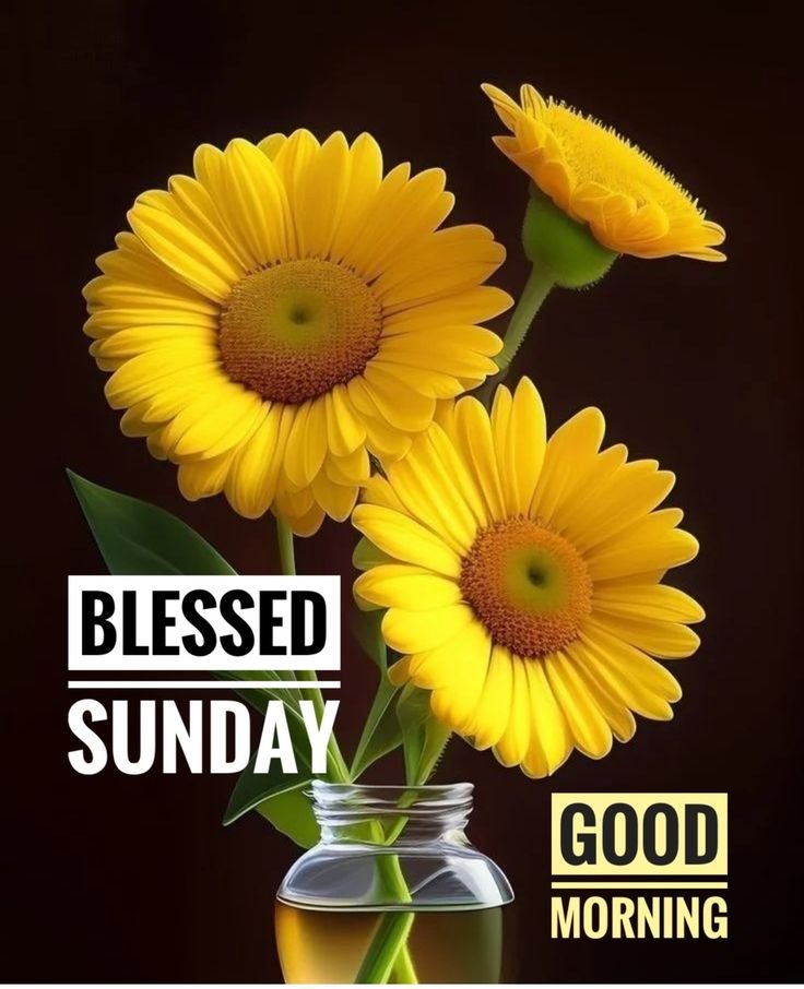 Happy Sunday Good Morning Photos 