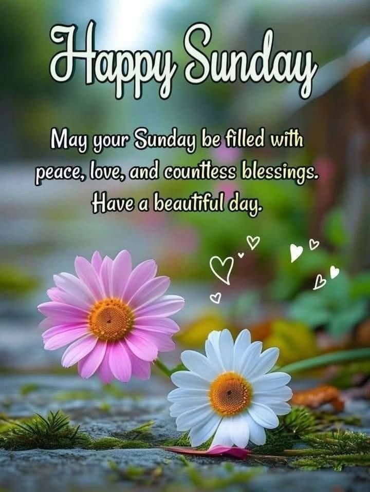 Happy Sunday Good Morning Photos 