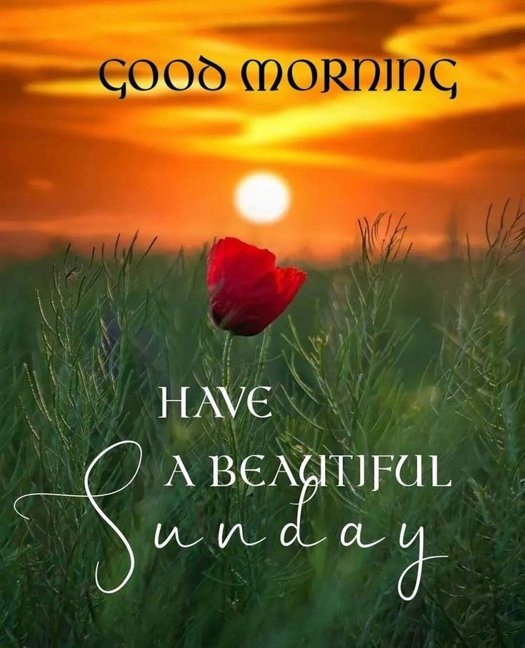 Good Morning Sunday Images for WhatsApp 