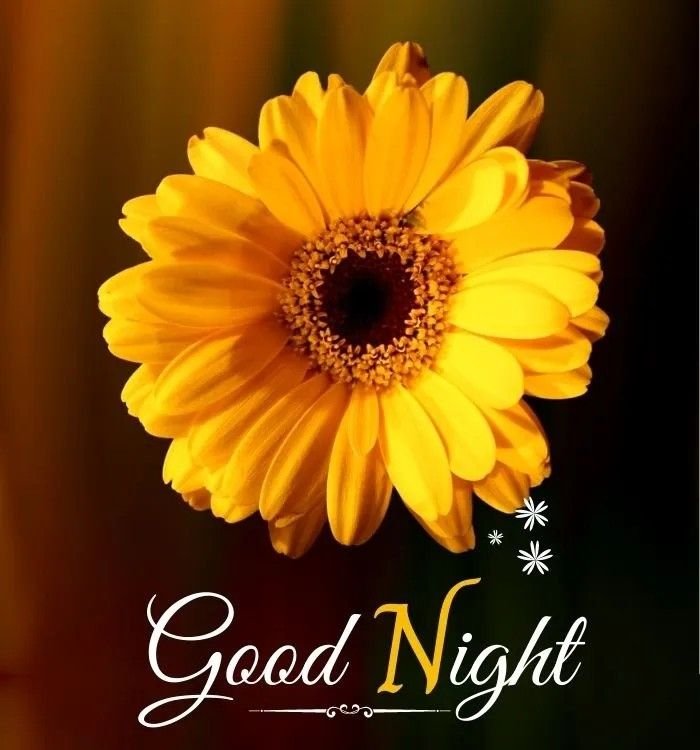 New Good Night Images 2025