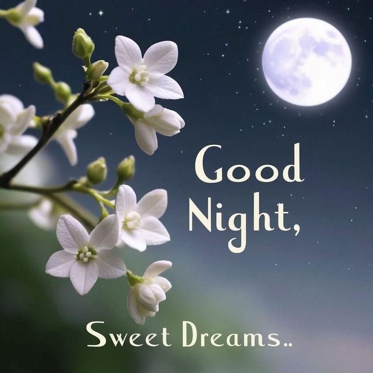 Beautiful Good Night Images