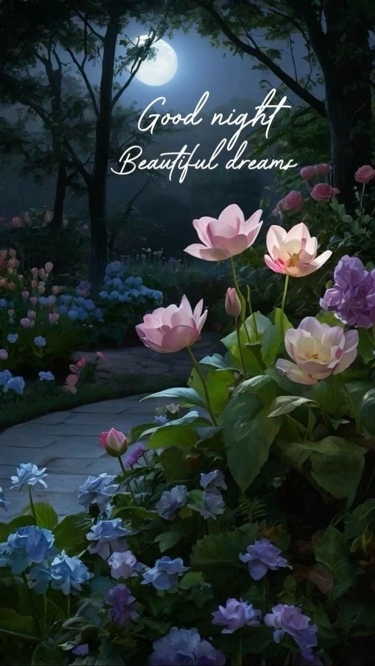 Good Night Photos