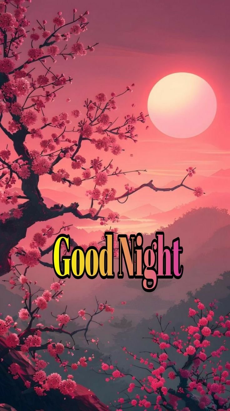 Good Night Photos