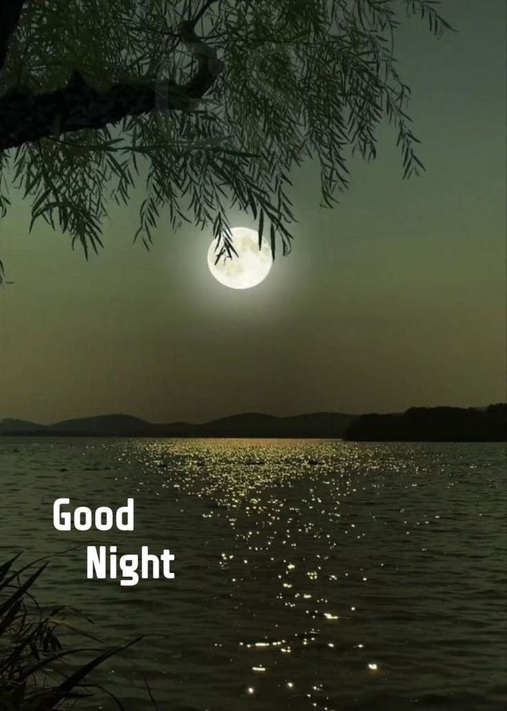Good Night Photos