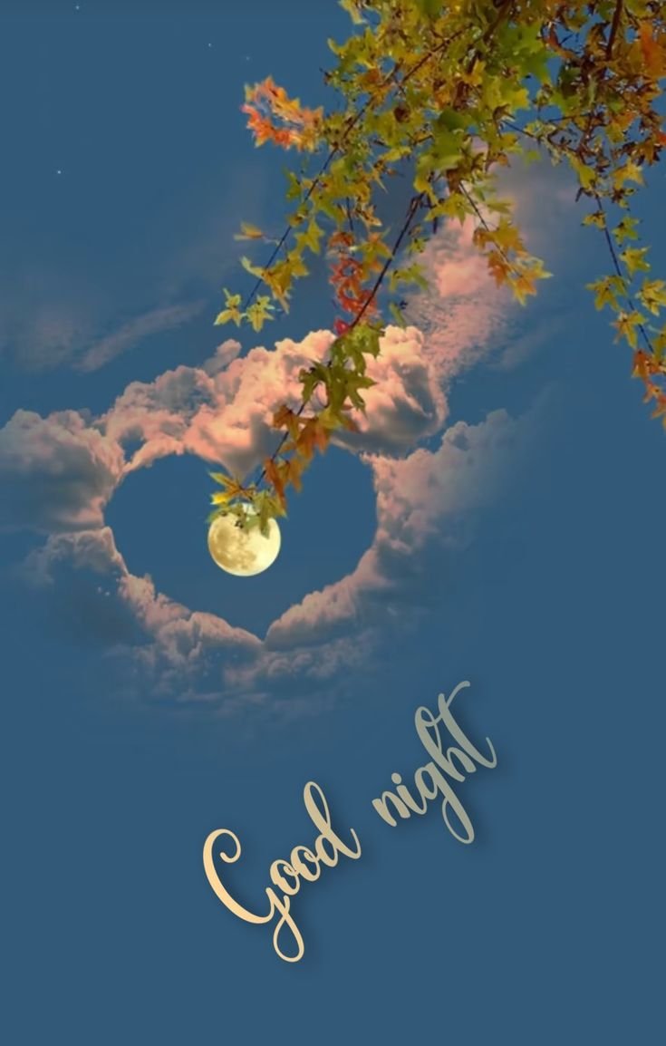 Good Night Photos