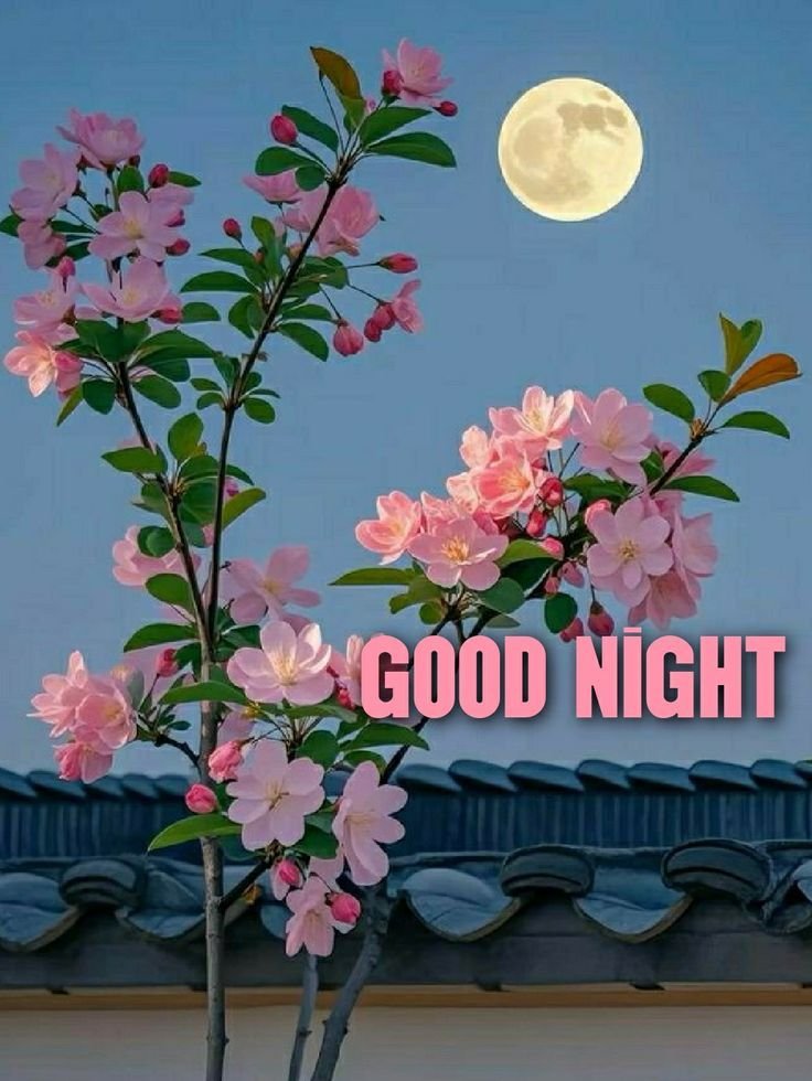 Good Night Photos