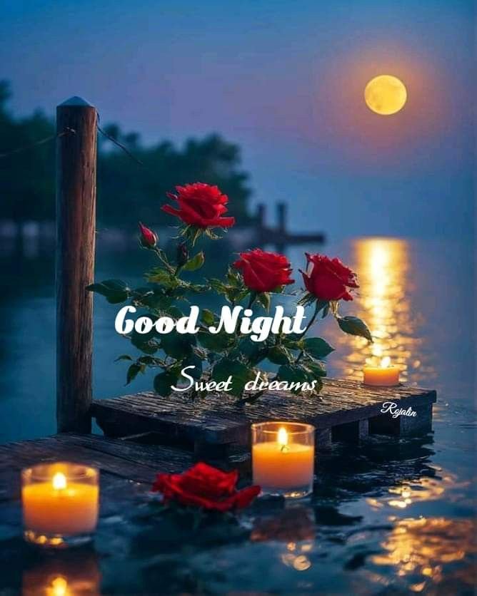 Good Night Photos