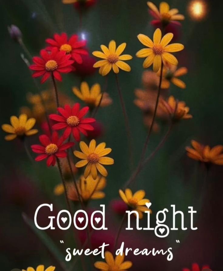 Special Good Night Images