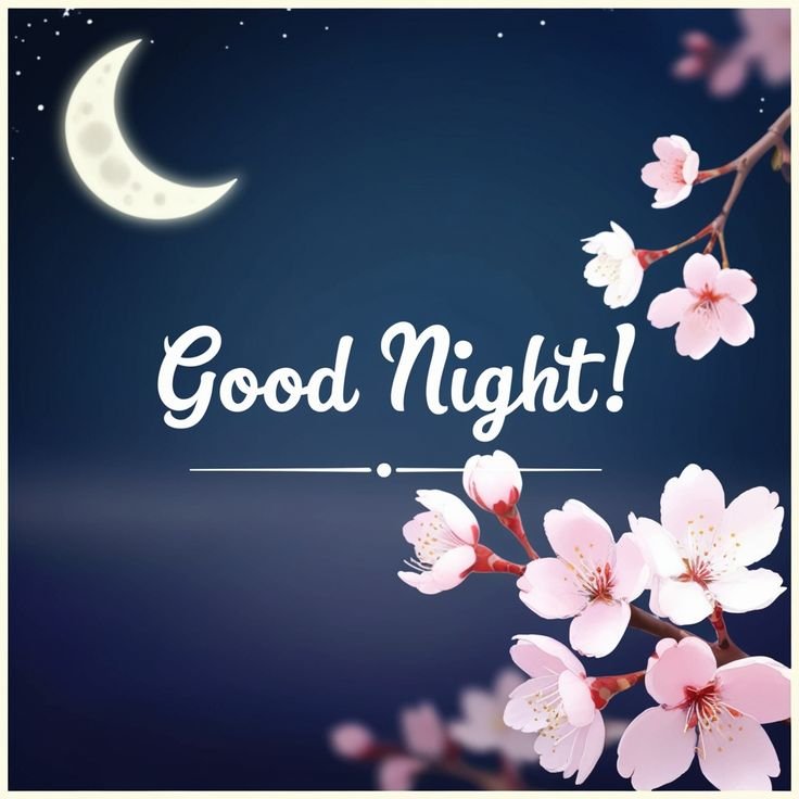 Good Night Pics HD