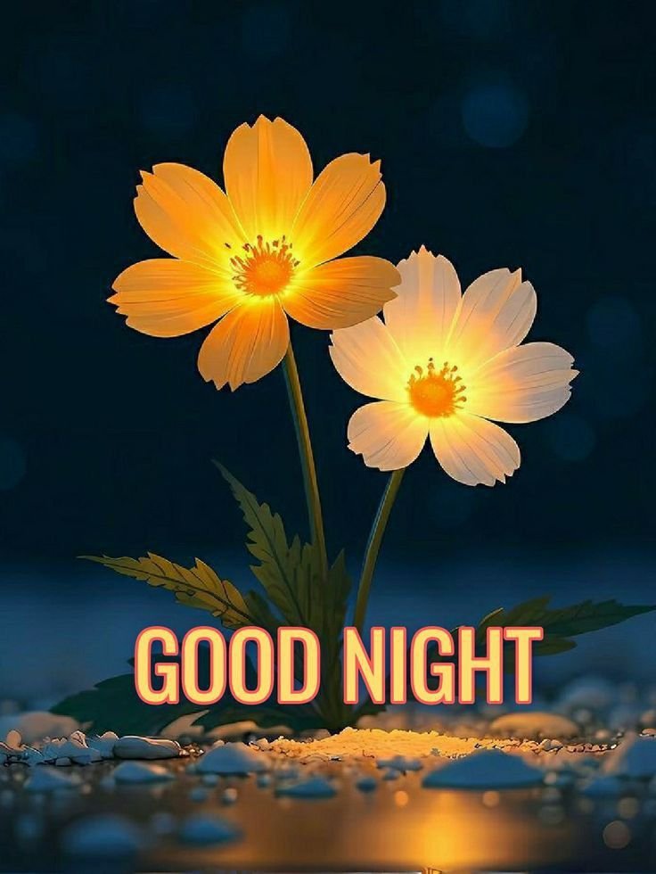 Good Night Pics HD