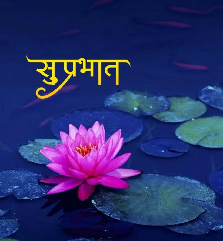 शुभ प्रभात नमस्कार फोटो 