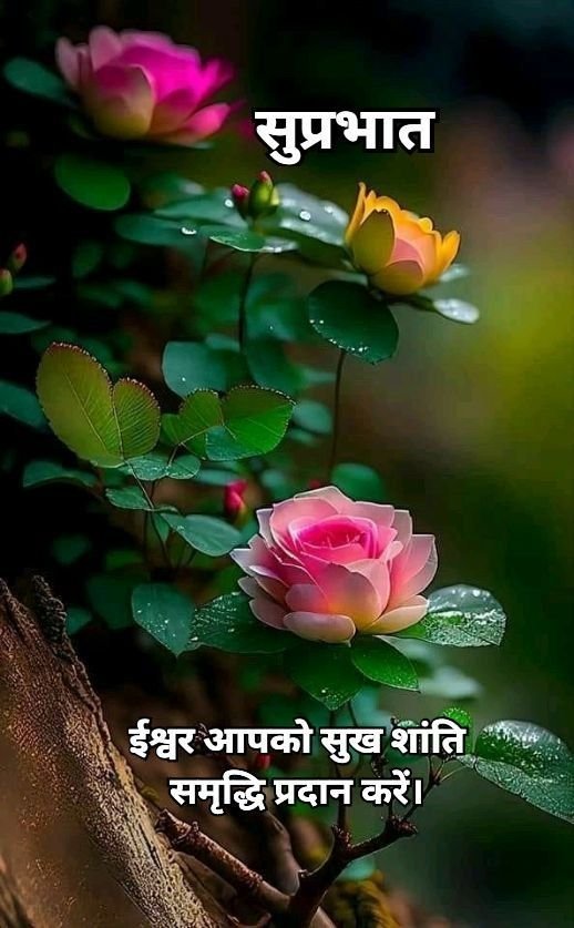 Subh Prabhat Images