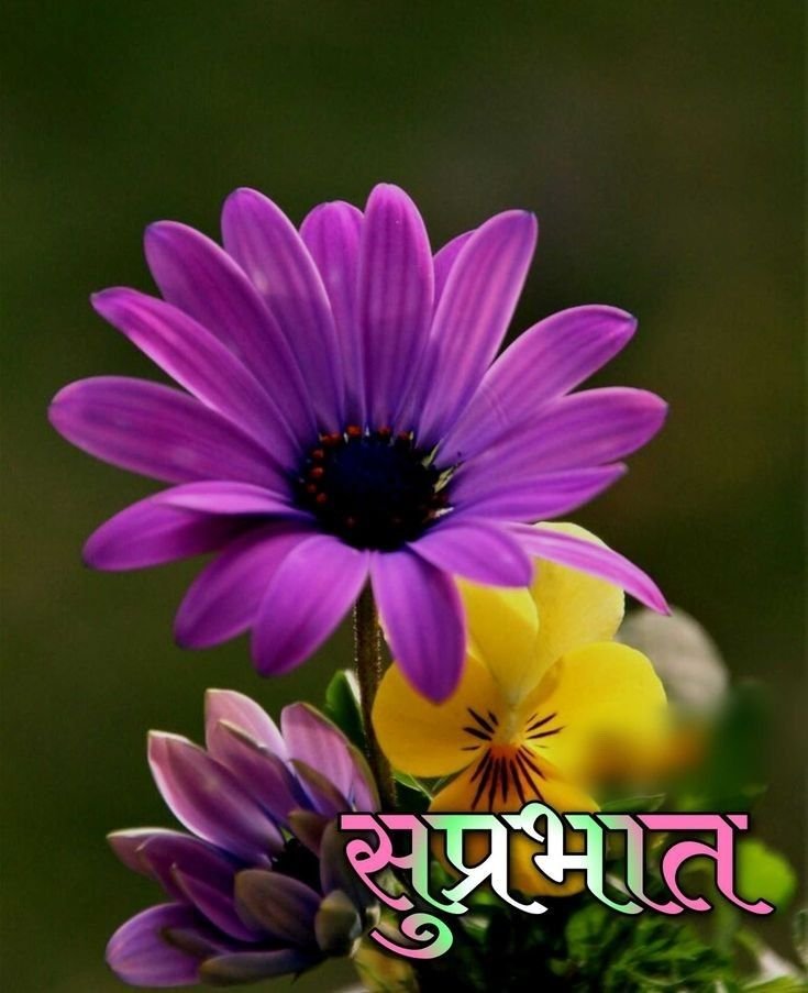 Good Morning Images Hindi 