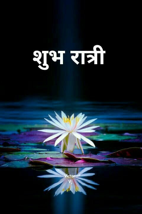 खूबसूरत शुभ रात्रि फोटोज