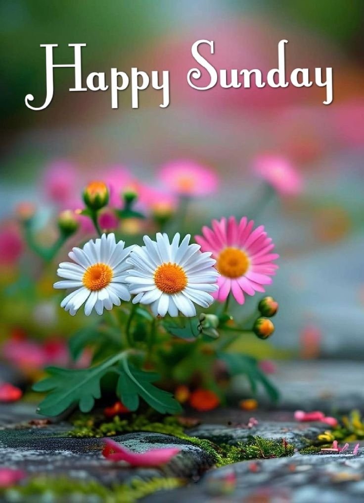 Subh Ravivar Good Morning Images