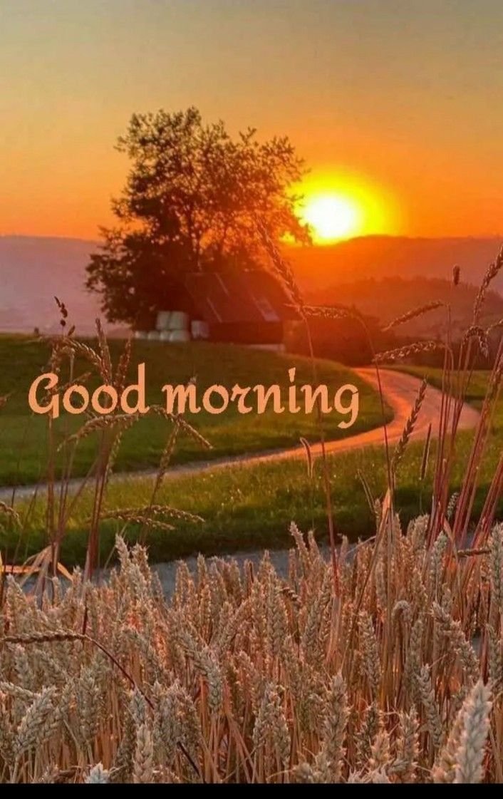 Indian village good morning nature images